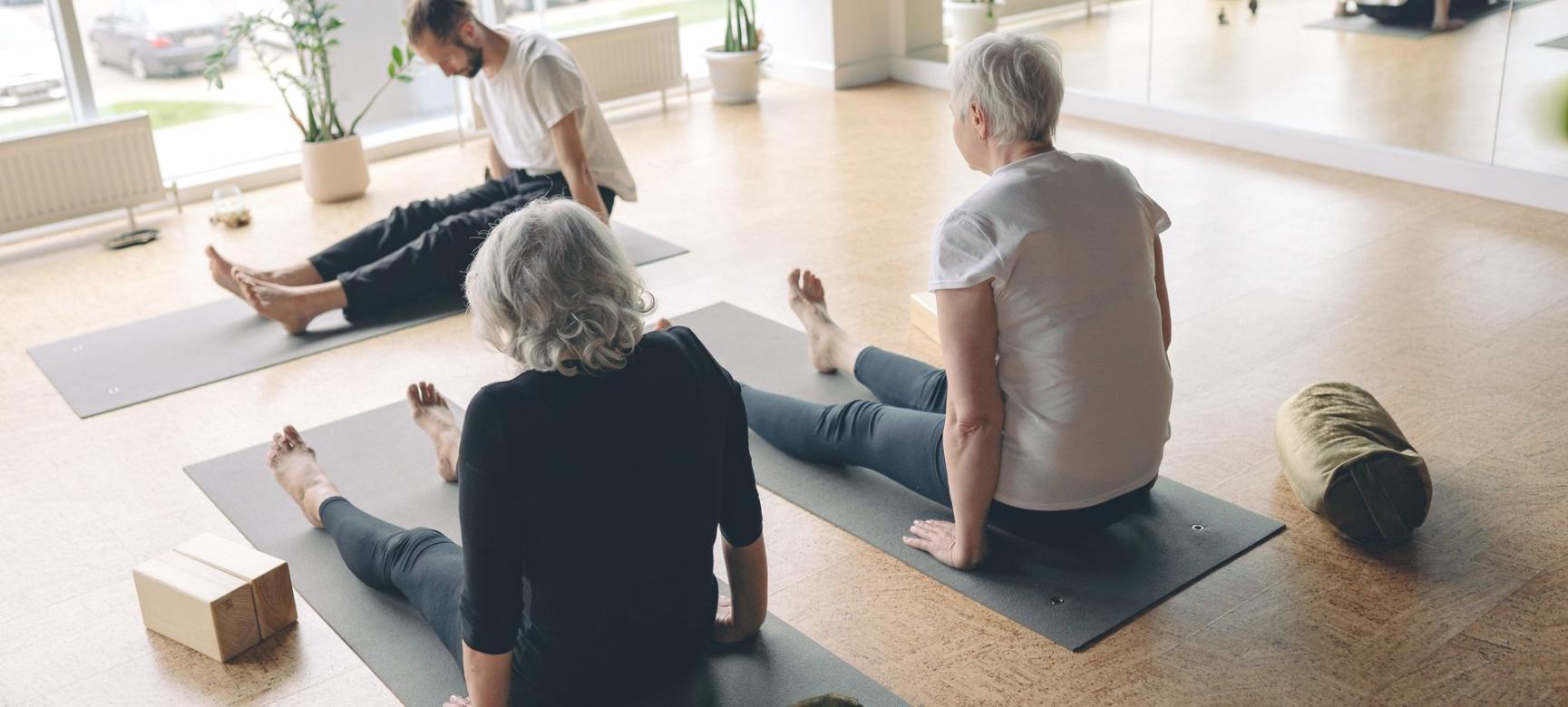 Participants in a calm online group yoga environment